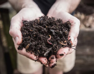 compost trommel screen5