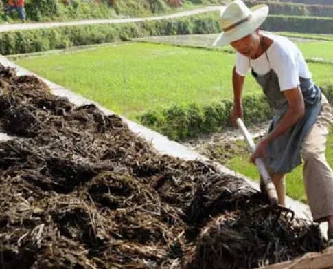Why is it necessary to process and screen compost before processing? 5 sp241212 162818