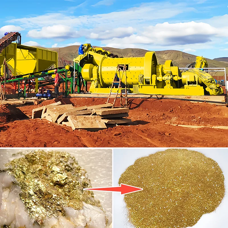  CIL gold processing plant